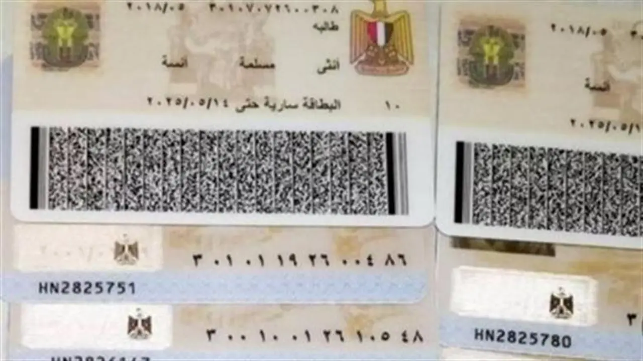 بطاقة الرقم القومي للمغتربين.. استخراج بدل فاقد في ساعة واحدة فقط